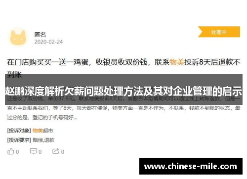 赵鹏深度解析欠薪问题处理方法及其对企业管理的启示