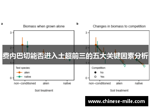 费内巴切能否进入土超前三的五大关键因素分析