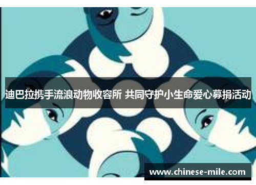 迪巴拉携手流浪动物收容所 共同守护小生命爱心募捐活动