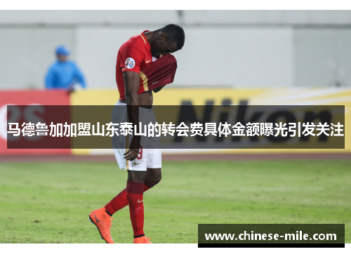 马德鲁加加盟山东泰山的转会费具体金额曝光引发关注